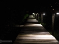 IMG_1244-pathway-at-night
