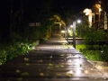 IMG_1248-pathway-at-night-3