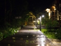 IMG_1249-pathway-at-night-4