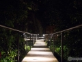 IMG_1256-walkway-at-night