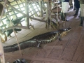 yaku-kawsay--balsa-sculptures-gator-large-IMG_1391