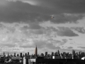 Manhattan skyline from Brooklyn NY with a bird in the distance.