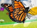 Butterflies and flowers, spring newsletter header image.