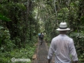 amazon-board-walk-IMG_1415