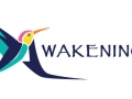 Awakenings Logo