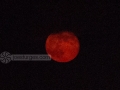 Blood moon and fireworks on the 4th of July.